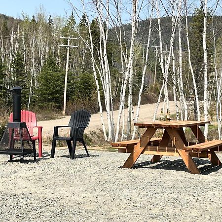 Appartement Mont Edouard, Hebergement Paisible A La Montagne LʼAnse-Saint-Jean Eksteriør billede