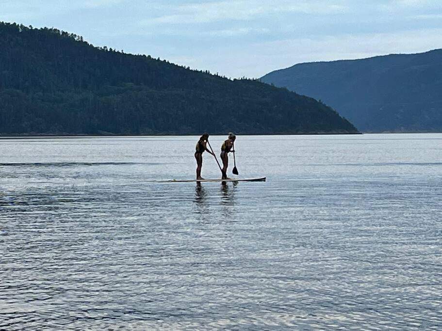 Appartement Mont Edouard, Hebergement Paisible A La Montagne LʼAnse-Saint-Jean Eksteriør billede