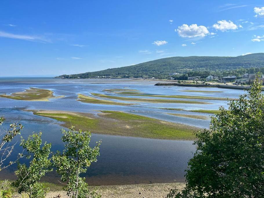 Appartement Mont Edouard, Hebergement Paisible A La Montagne LʼAnse-Saint-Jean Eksteriør billede