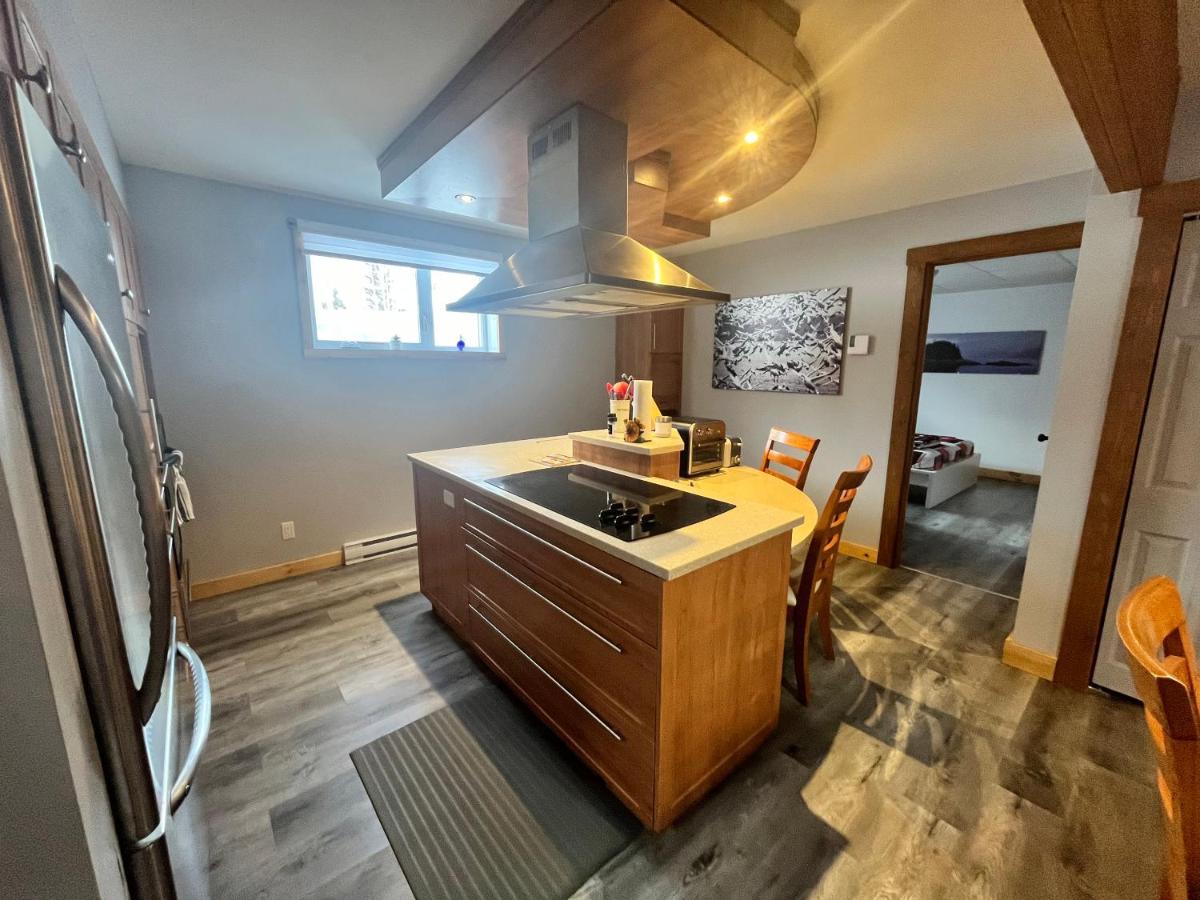 Appartement Mont Edouard, Hebergement Paisible A La Montagne LʼAnse-Saint-Jean Eksteriør billede