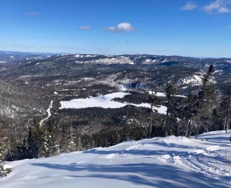 Appartement Mont Edouard, Hebergement Paisible A La Montagne LʼAnse-Saint-Jean Eksteriør billede
